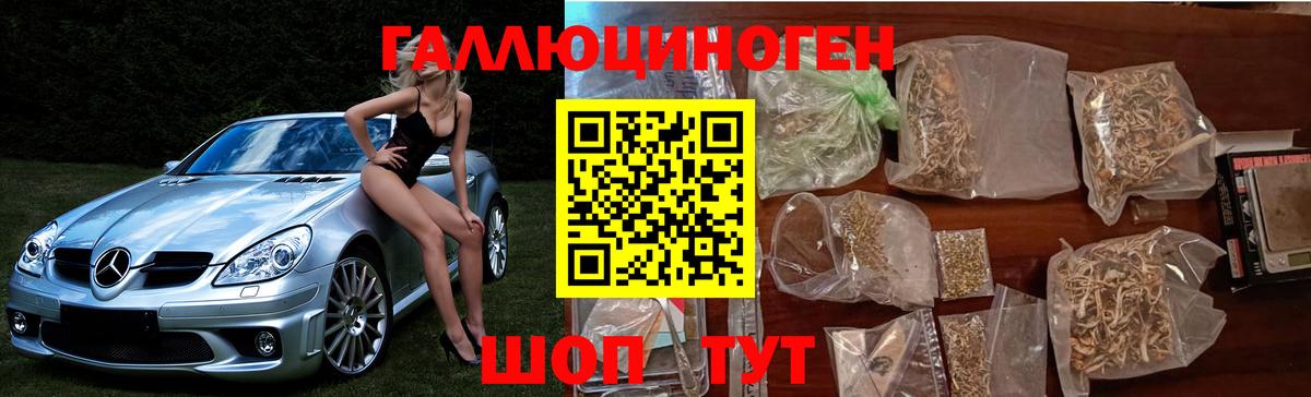 Кировск  Галлюциногенные грибы Magic Shrooms  наркота  Вход с VPN 